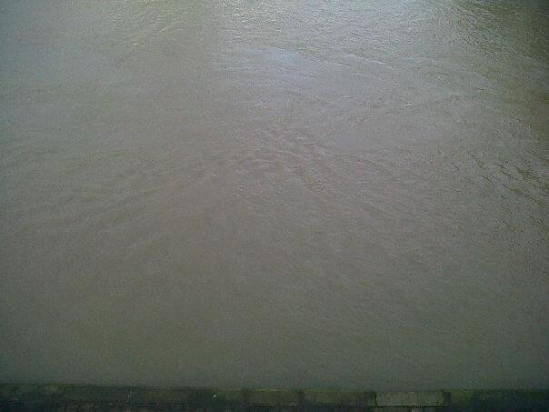 Walking / Promenade 5