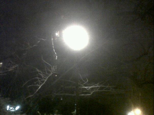 282588_229742150491107_1488855043_n