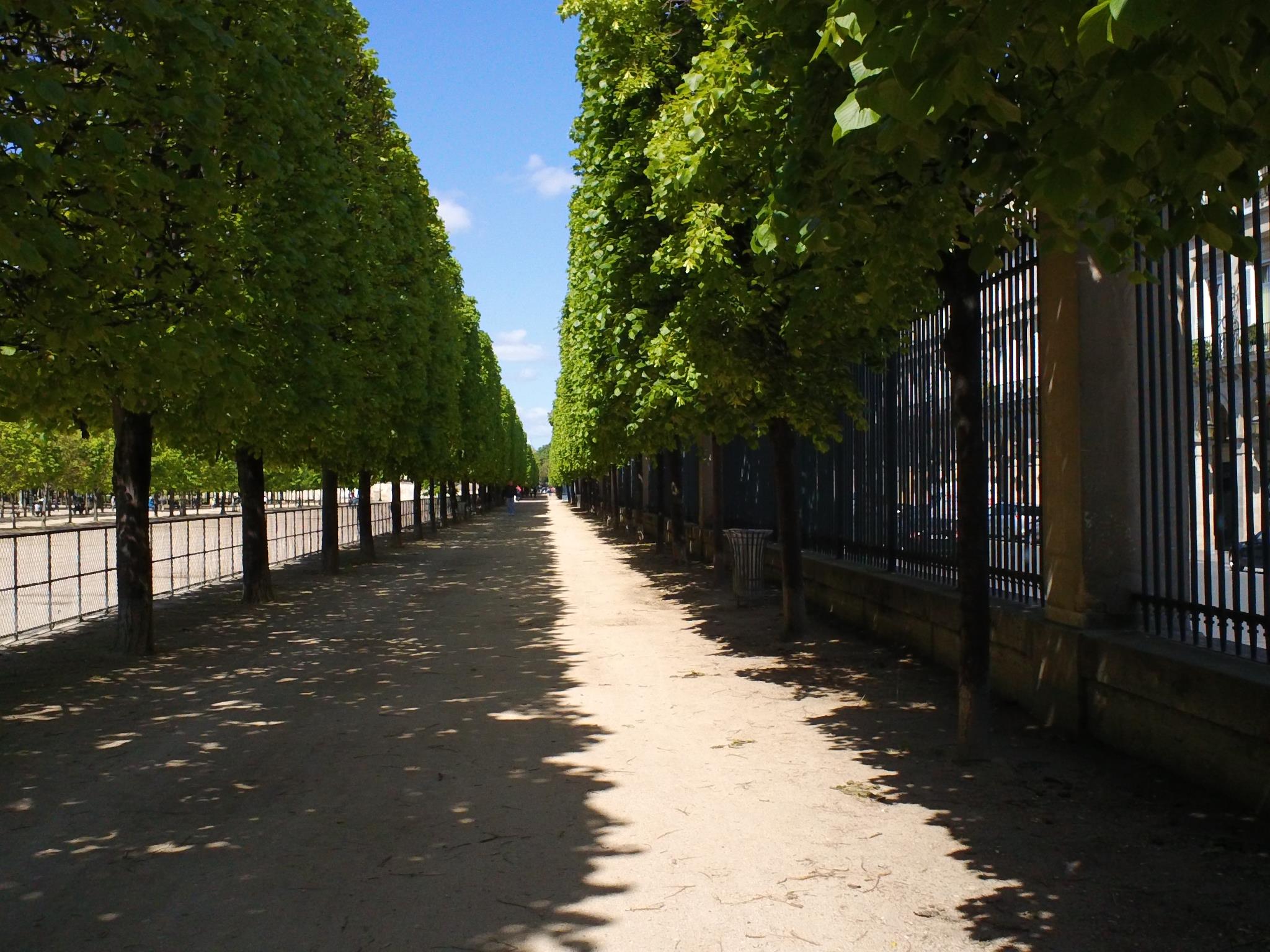 Vues quotidiennes 12