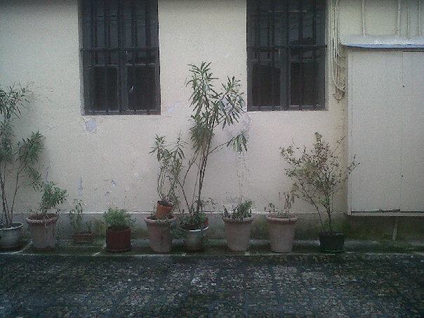 Walking / Promenade 9