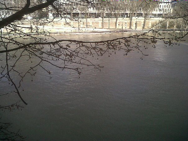 Walking / Promenade 10