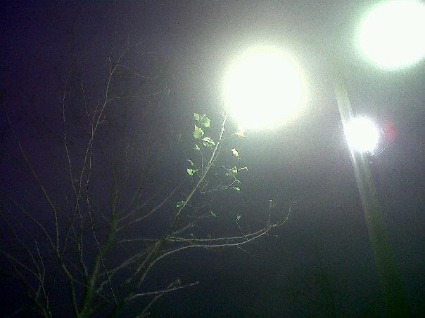 If you’re thinking of a police story / Si vous pensez à une histoire policière 11