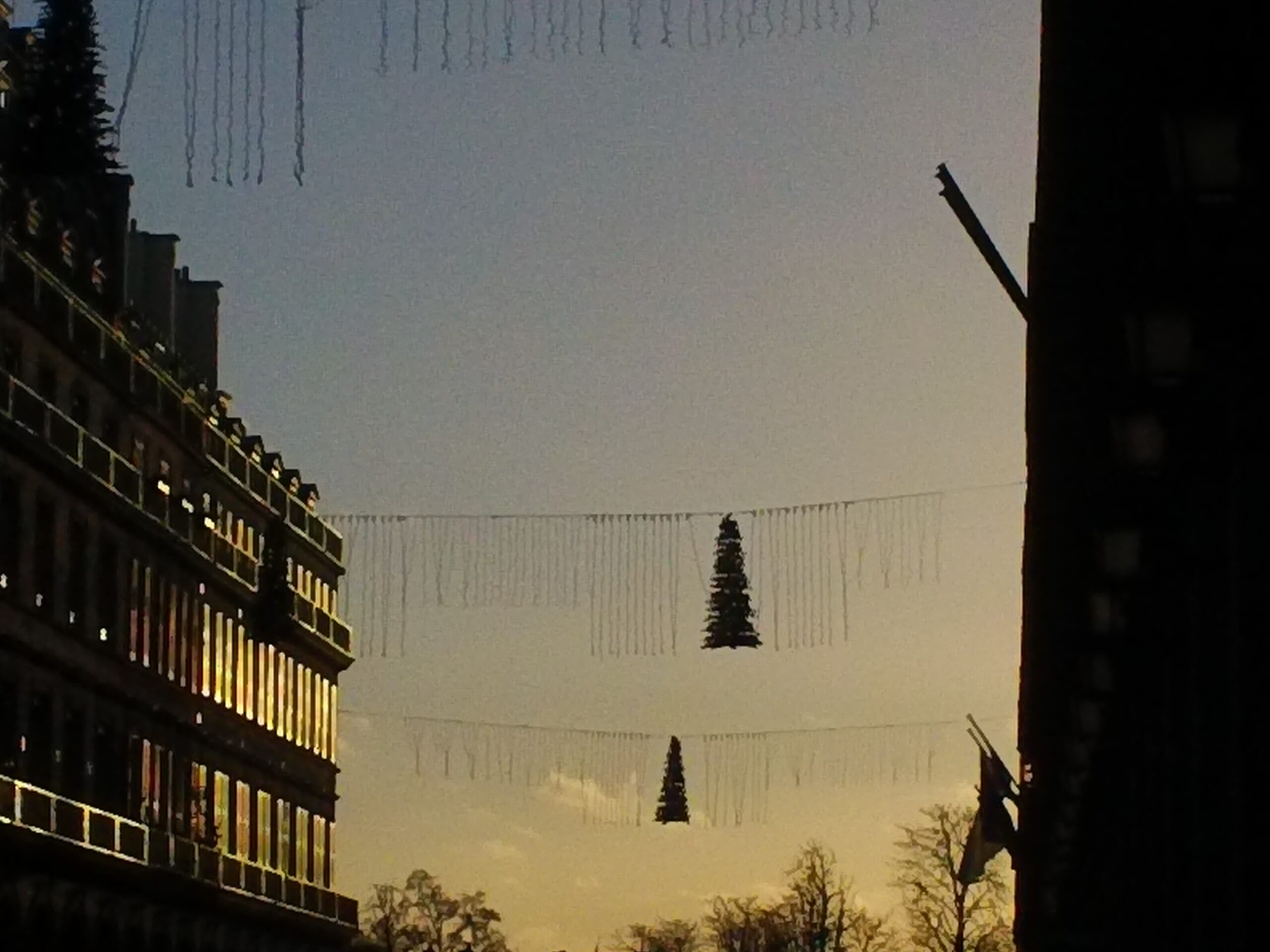 DSC00651