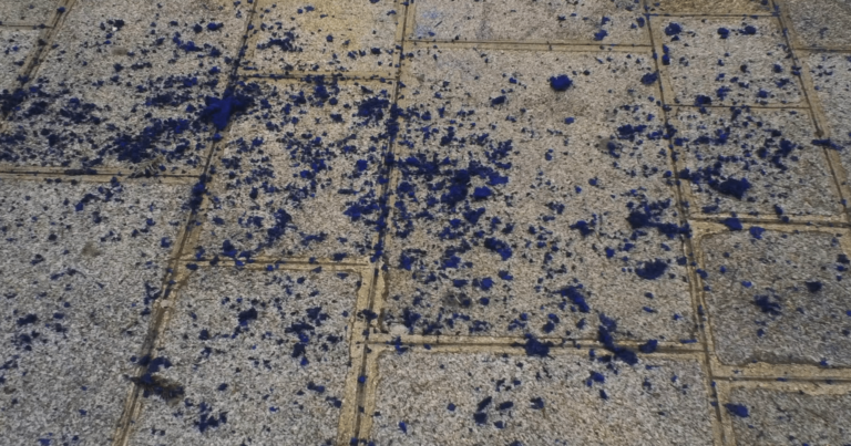 A Paris Life : falling in love 1