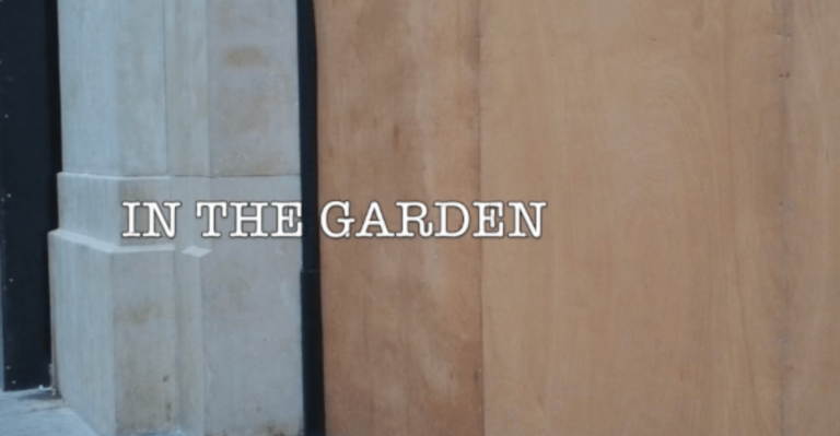 In the garden 1